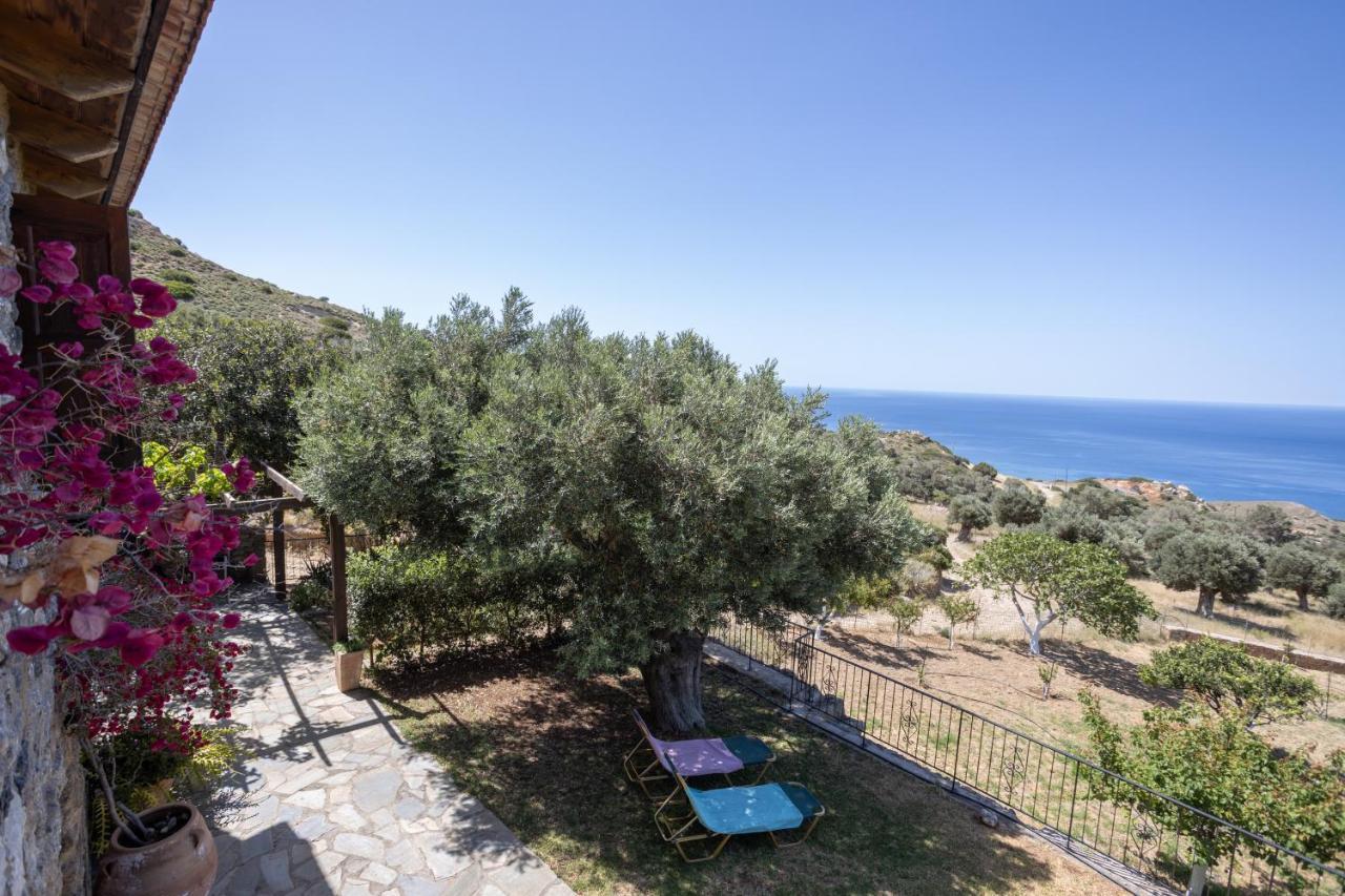 Вілла Manolis' House Agia Paraskevi  Екстер'єр фото