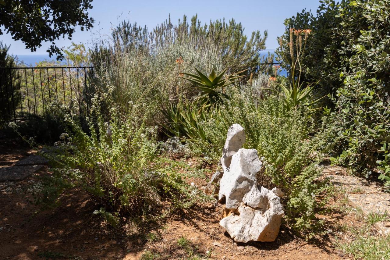 Вілла Manolis' House Agia Paraskevi  Екстер'єр фото